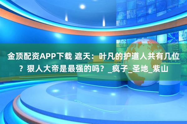 金顶配资APP下载 遮天:叶凡的护道人共有几位?狠人大帝是最强的吗?_疯子_圣地_紫山
