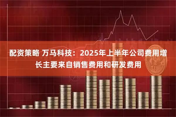 配资策略 万马科技:2025年上半年公司费用增长主要来自销售费用和研发费用