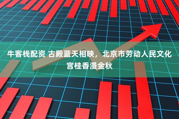牛客栈配资 古殿蓝天相映，北京市劳动人民文化宫桂香漫金秋